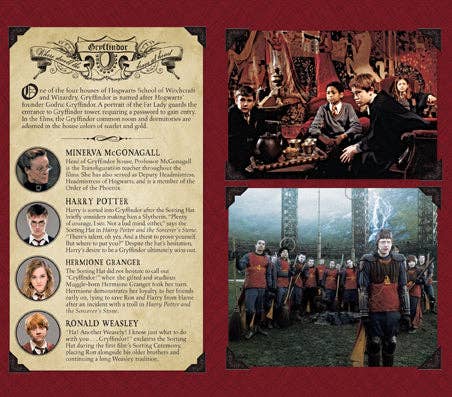 Harry Potter: Gryffindor Ruled Pocket Journal